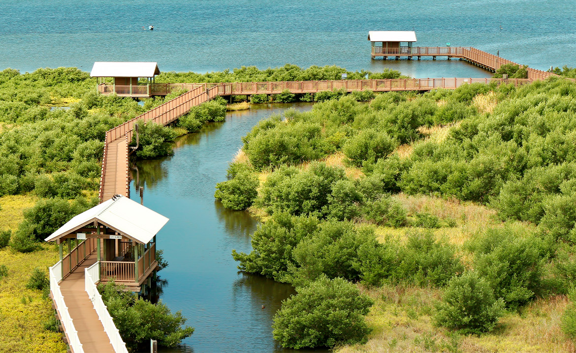 A wooden walkway leading to a serene Laguna Madre Lake.