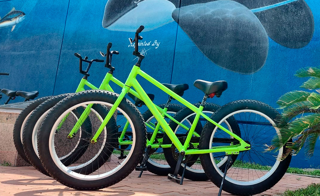 Green beach bikes stands next to a colorful orca mural.