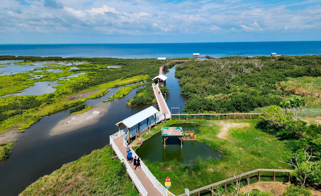 South Padre Island Birding and Nature Center