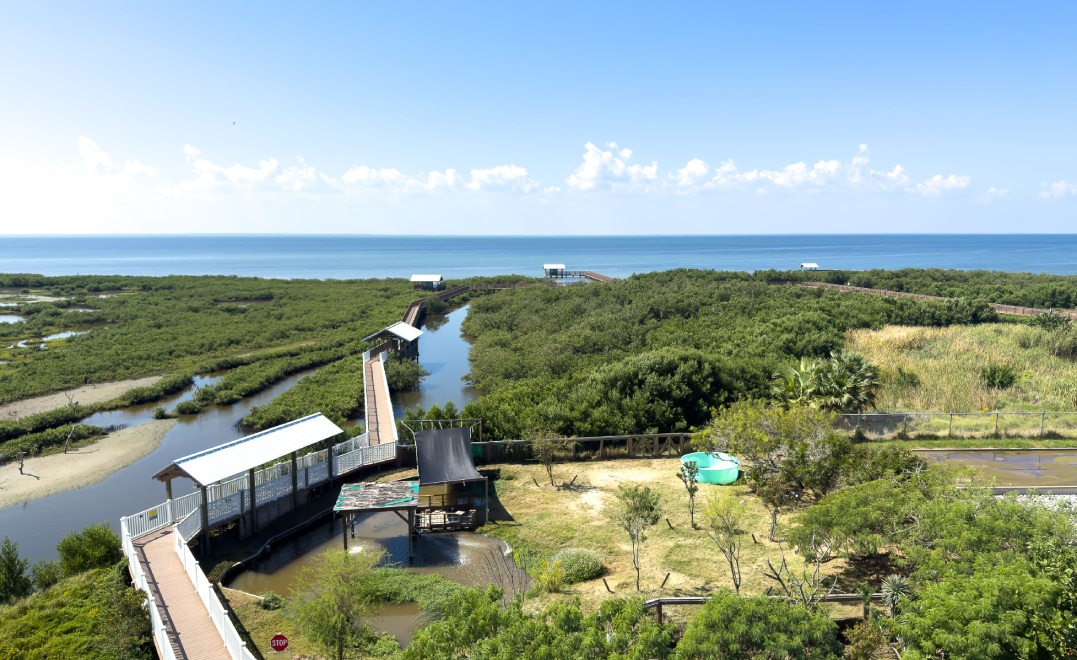 Boardwalks wind through green wetlands with Gulf of Mexico in background at South Padre Island Nature Center